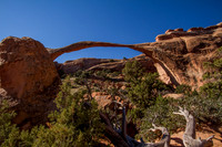 Dead Horse Point / Arches National Park