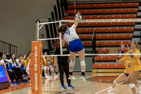 Varsity