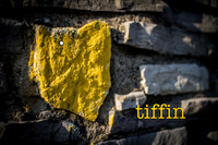 Random Tiffin