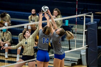 Varsity