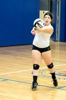 JV