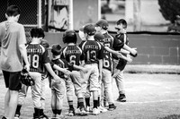 Coach Pitch